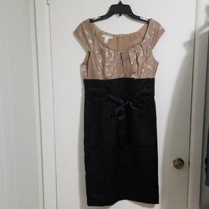 Dress Size 12